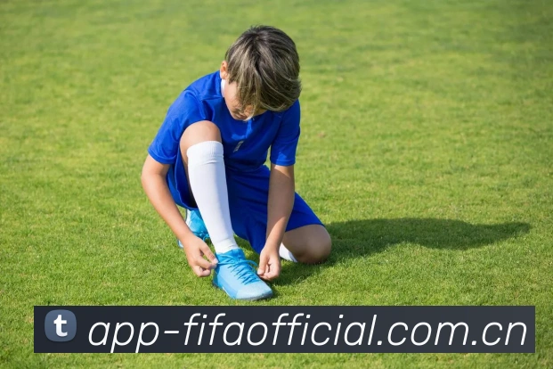 FIFA官方彩票数据授权证书